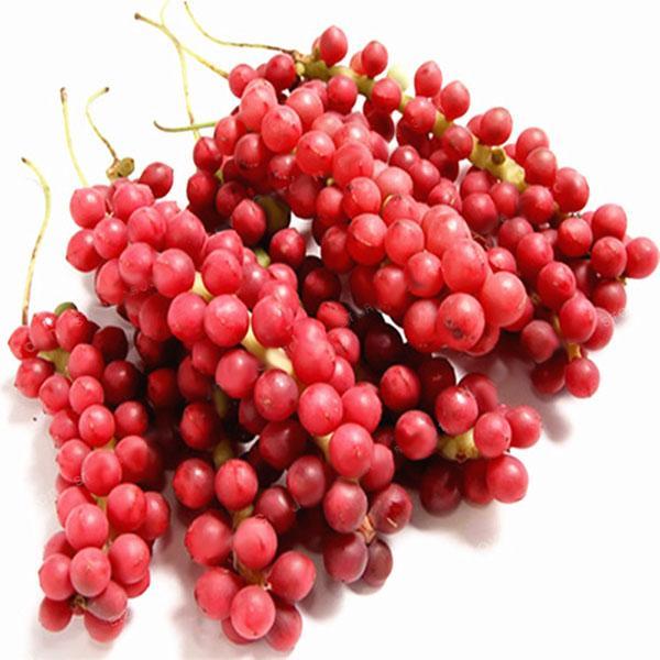 Egrow 50Pcs（100Pcs）/Pack Schisandra Seeds Kínai Magnólia Kúszó Edible Kert Gyümölcsfa Mag DIY Növények-Clara Rosan