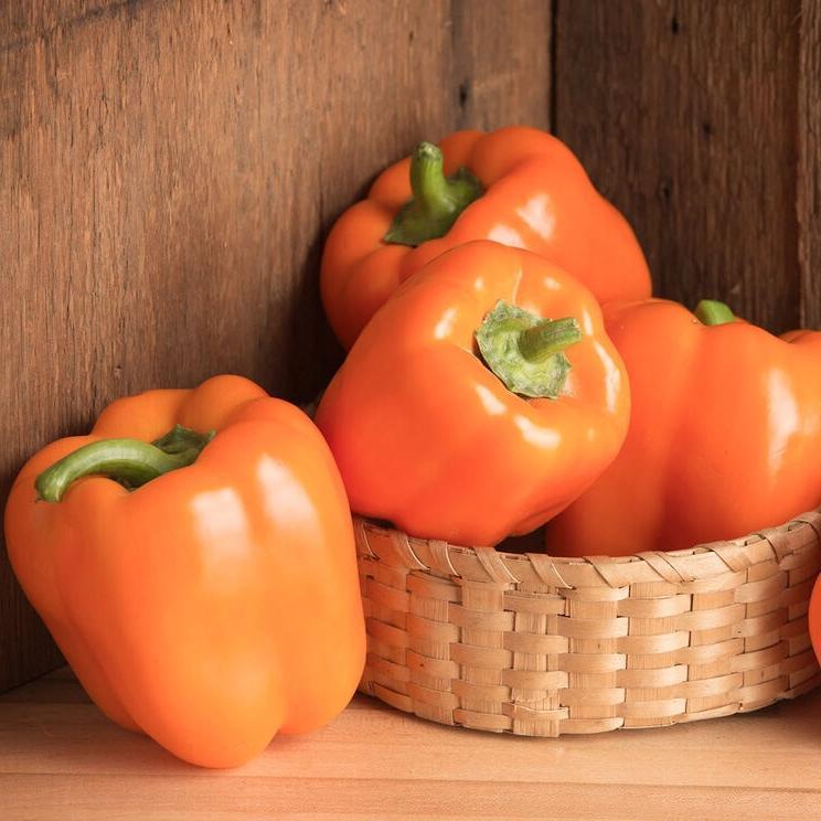 Paprika Milena F1 Bio-Clara Rosan