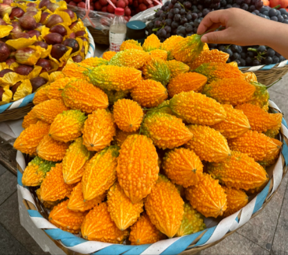 Lai szőlőmagok kerti keserűtökmagokhoz-Clara Rosan