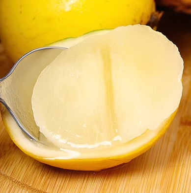 Golden Fruit Seeds-Abiu Fruit-Pouteria Caimito-Clara Rosan
