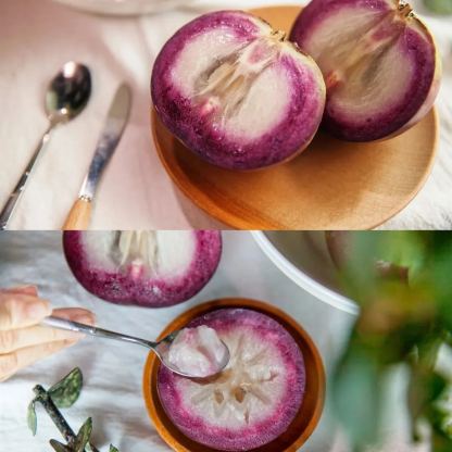 Tejgyümölcs magvai - Csillagalma - Chrysophyllum Cainito-Clara Rosan