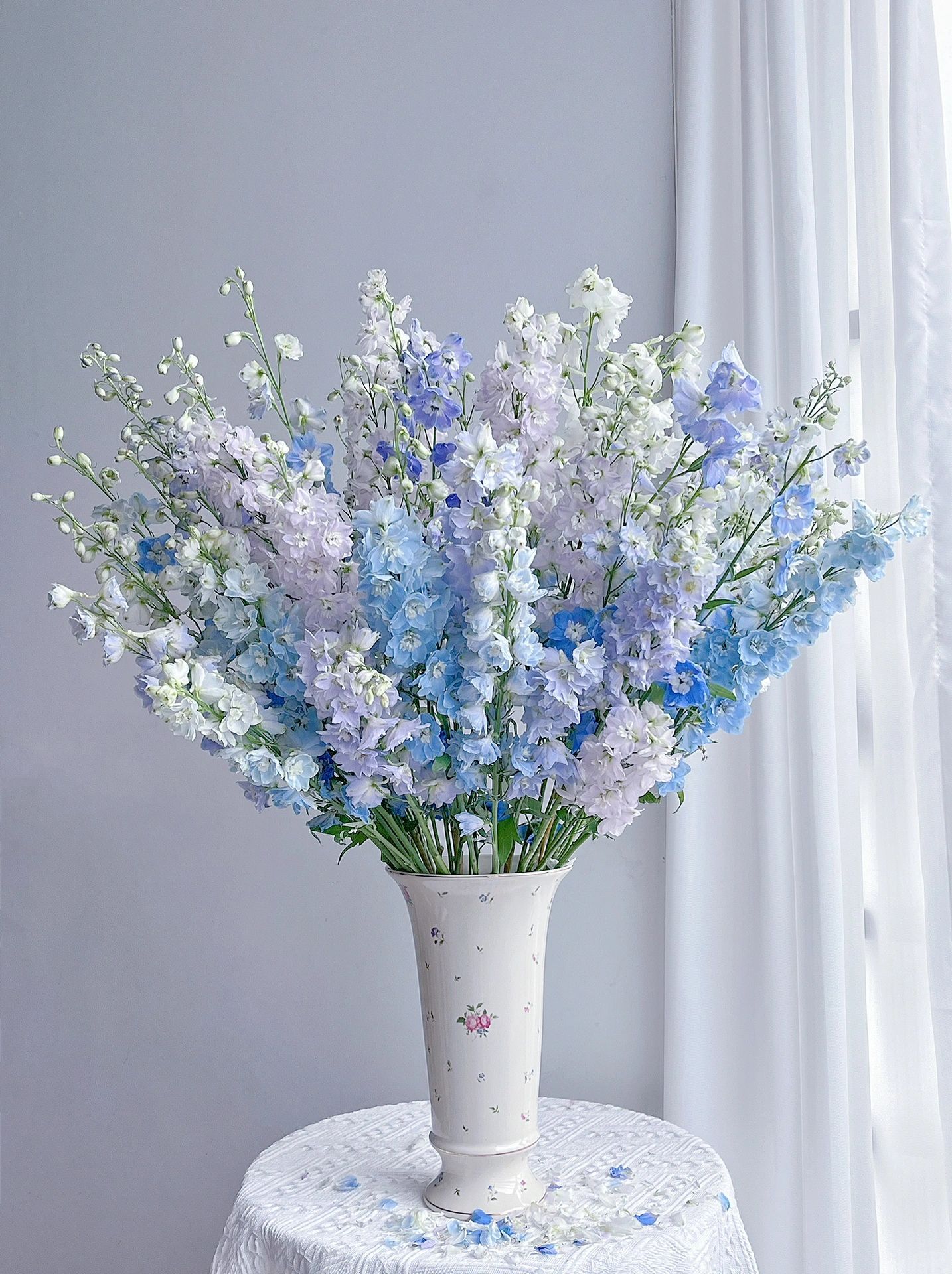 Delphinium magok - vegyes 7 szín-Clara Rosan
