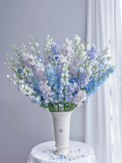 Delphinium magok - vegyes 7 szín-Clara Rosan