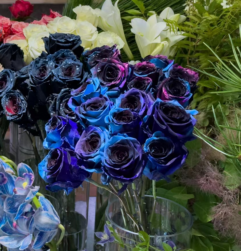 Csillagos égbolt rózsák-Clara Rosan