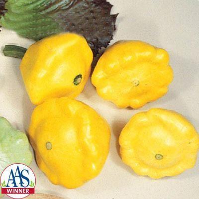 Tök Sunburst F1-Clara Rosan