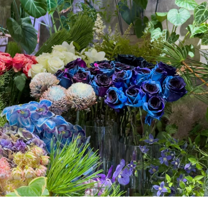 Csillagos égbolt rózsák-Clara Rosan