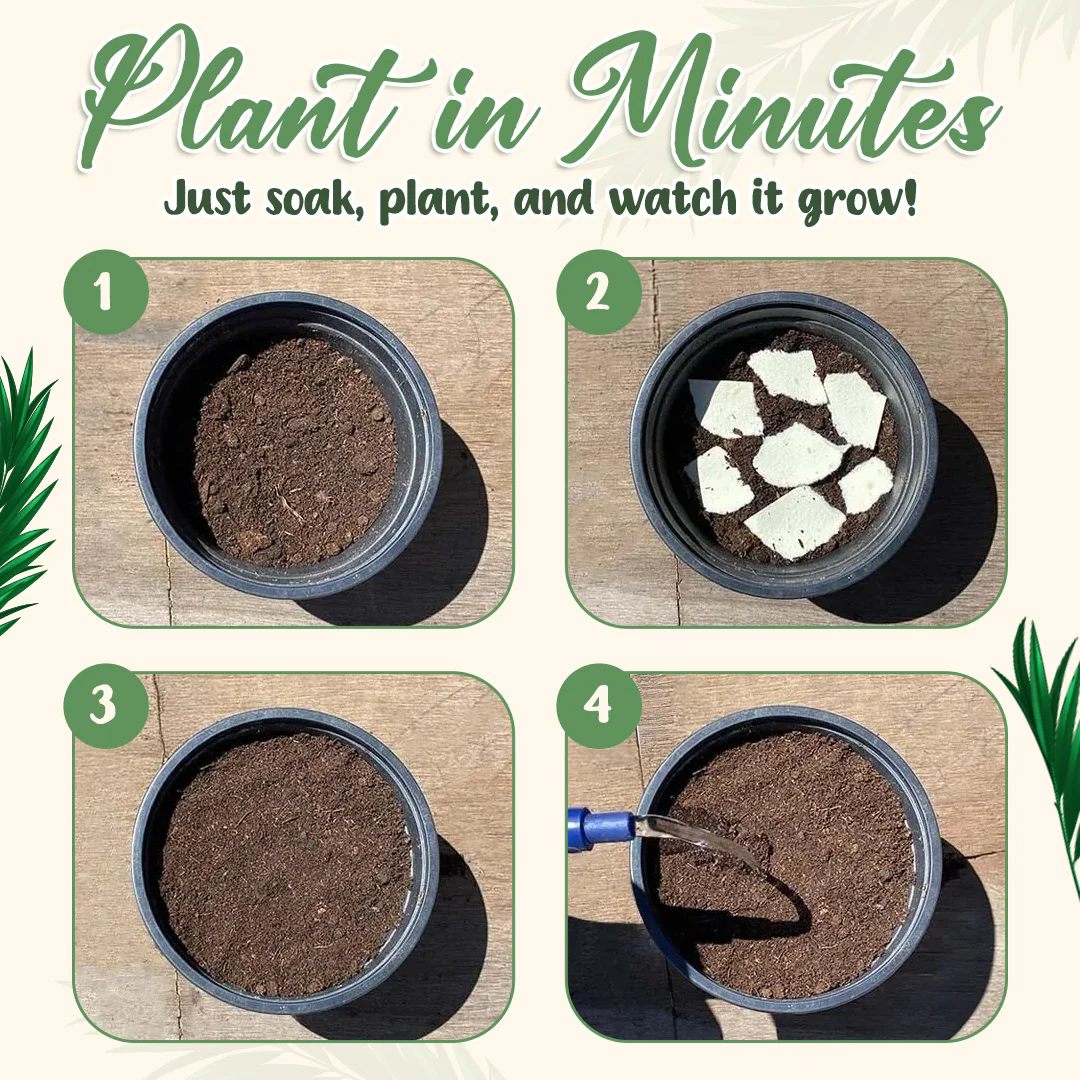 🌱 A 2026-os Virágzó Naptár: Egy Kert Minden Oldalon-Clara Rosan