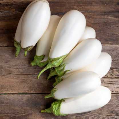 🍆 Zöld Kanna Padlizsán Magok - Egy Ízletes és Tápláló Kerti Kincs!-Clara Rosan