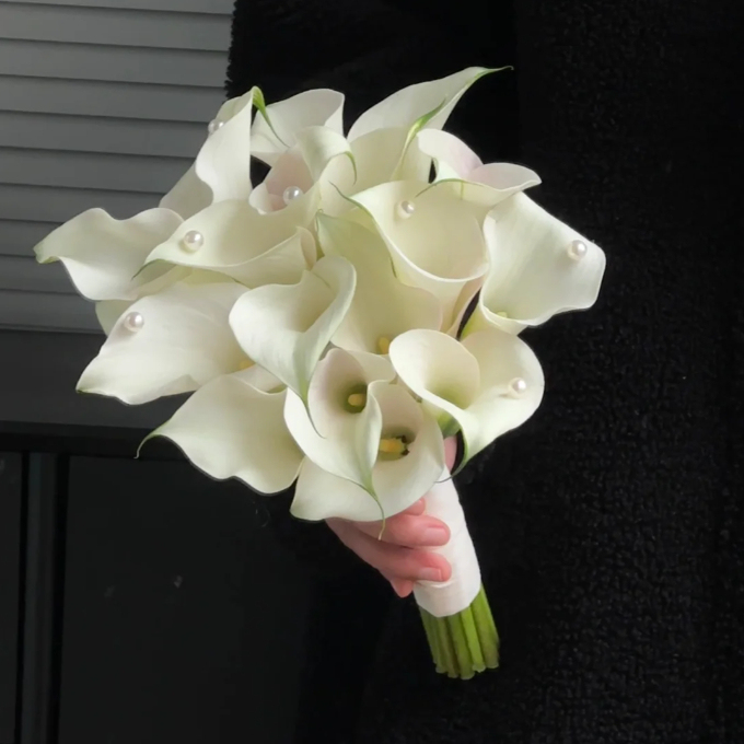 Calla Lily izzók – A varázslatos virág, amely sosem csalódik-Clara Rosan