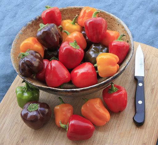 Pepper Mini Bell Bio Csokoládé-Clara Rosan