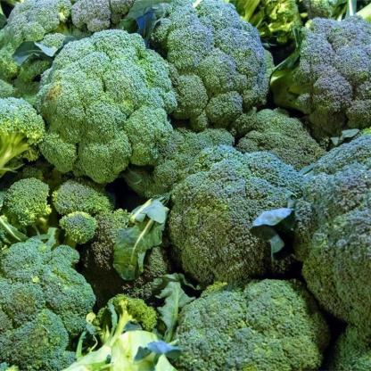 Brokkoli Smaragd Korona F1-Clara Rosan