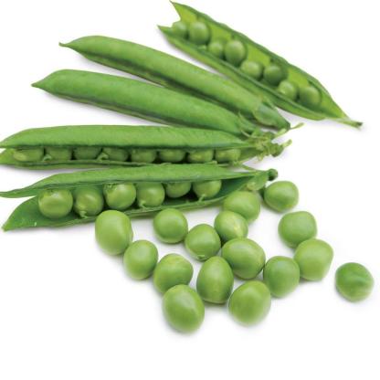 Borsó Karina Bio-Clara Rosan