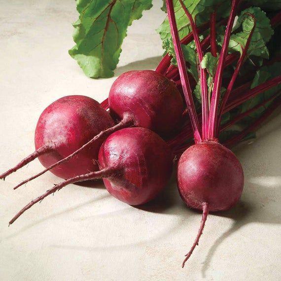 Beet Eagle F1-Clara Rosan