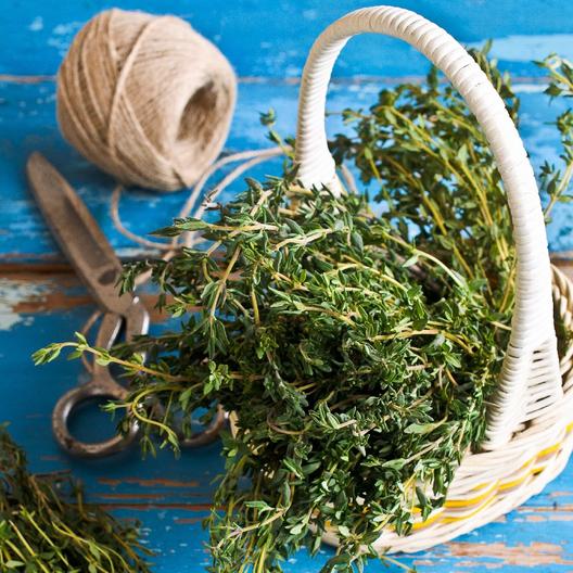 Kakukkfűmag (bio)-Clara Rosan