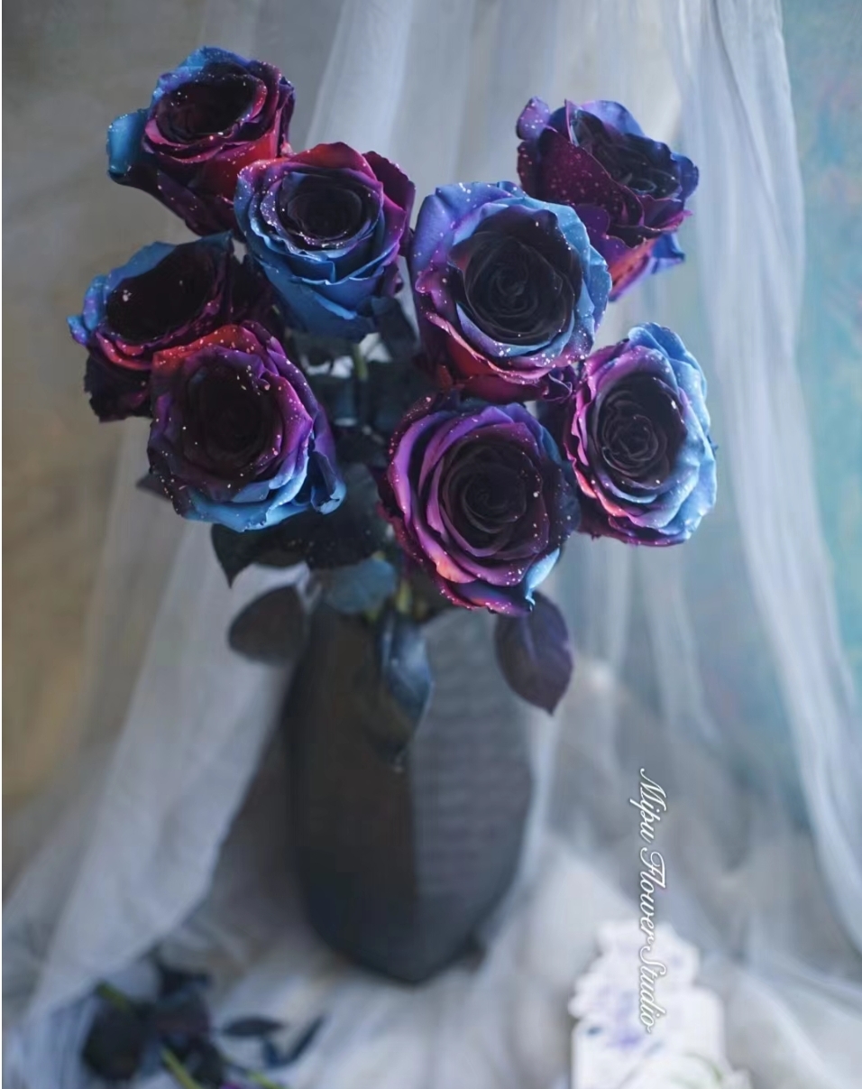 Csillagos égbolt rózsák-Clara Rosan