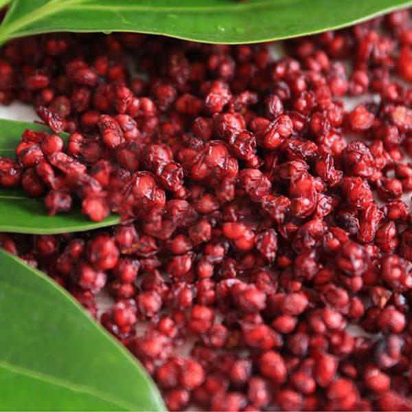Egrow 50Pcs（100Pcs）/Pack Schisandra Seeds Kínai Magnólia Kúszó Edible Kert Gyümölcsfa Mag DIY Növények-Clara Rosan