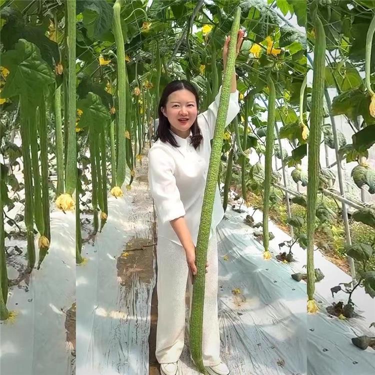 Szuper Hosszú Luffák👑A Luffák Királya-Clara Rosan