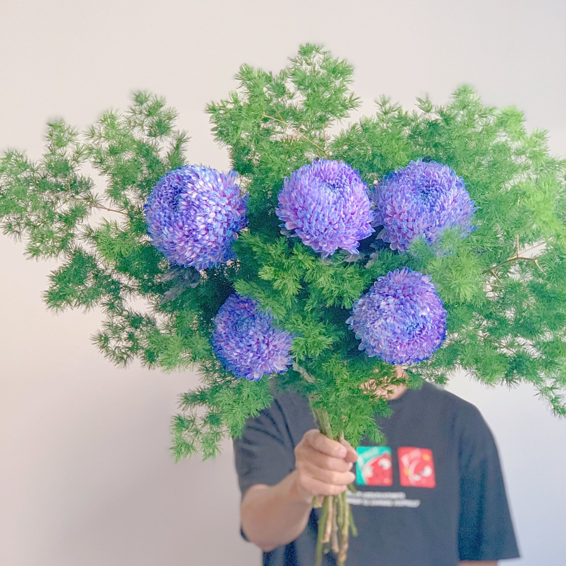 Ritka lila pünkösdi rózsa aster-Clara Rosan