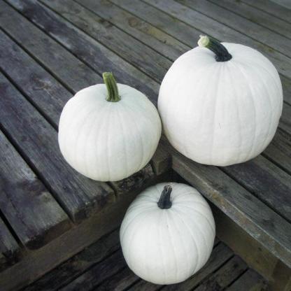 Tökös vattacukor-Clara Rosan