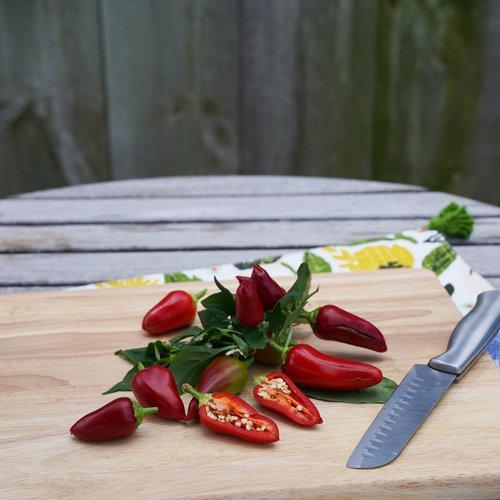 Csípős paprika-Clara Rosan