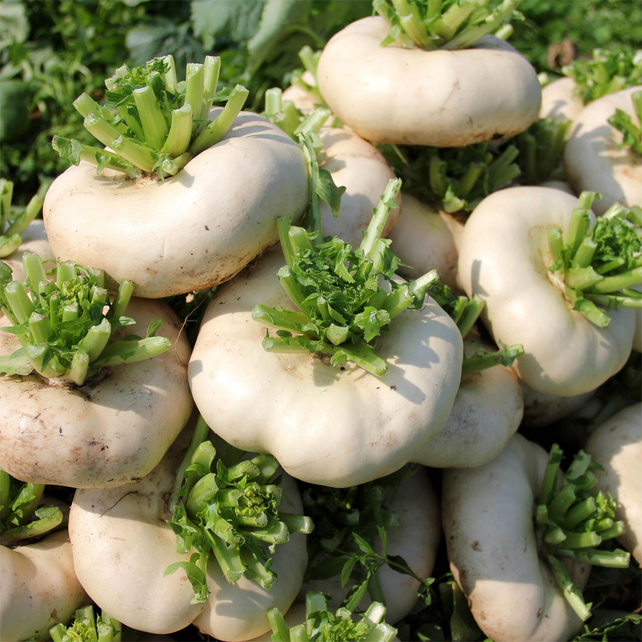 Jade Plate zöldségmagok-Clara Rosan