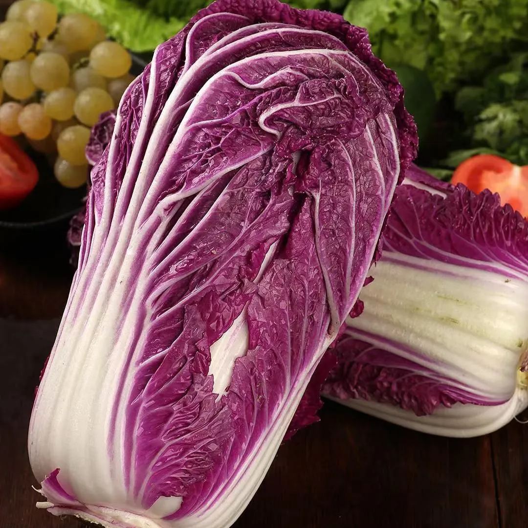 Bio lila káposzta magvak-Clara Rosan