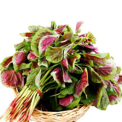 Nagylevelű vörös amarántmagok-Clara Rosan