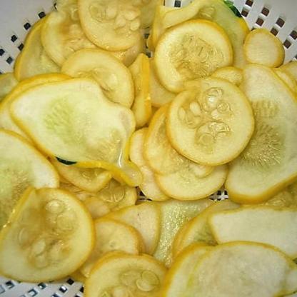 30 db Korai PROLIFIC STRAIGHTNECK SQUASH Sárga Nyári Cserje Örökségi Magok-Clara Rosan