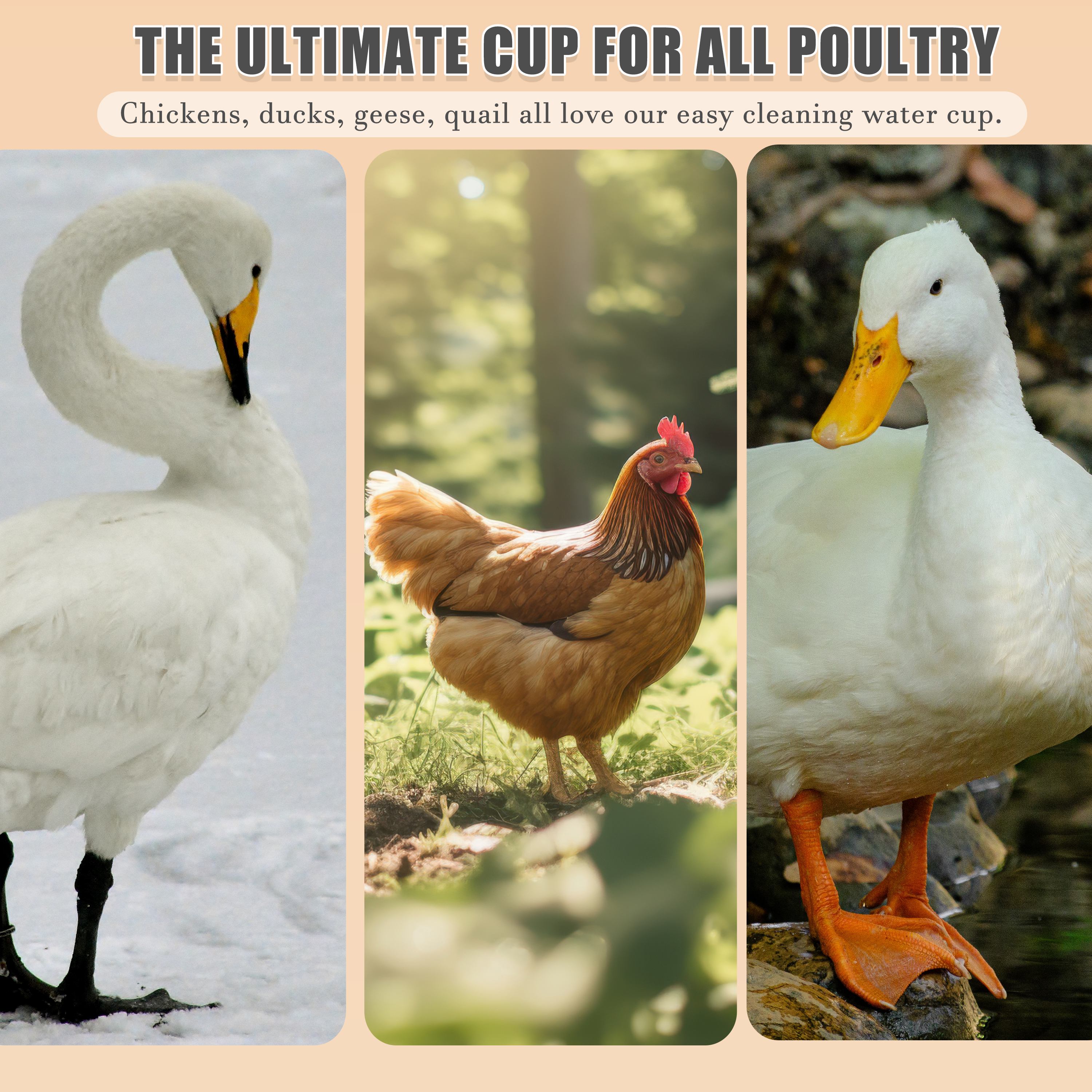 Automatic Chicken Waterer] Complete Set Automatic Chicken Nipple Waterer | Pipeline Cups And 1/2" PVC Tee Fittings Pipe Feeder Poultry Waterer Chicken Water Cup Chicken Waters Chicken Watering System