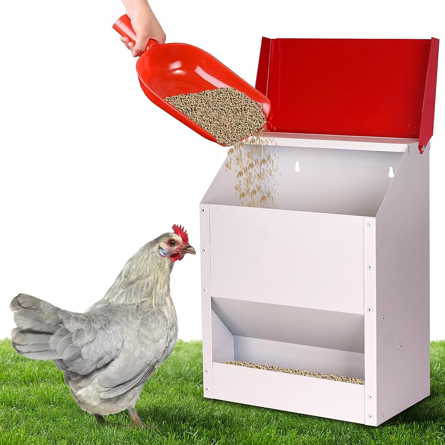Automatic Metal Chicken Feeder Wall Mounted Galvanized Poultry Feeder with Cover Outdoor Wall Mounted Chicken Food Dispenser Gravity Feeding Chicken Feeder Weatherproof Waste-Free Quail Duck Feeder