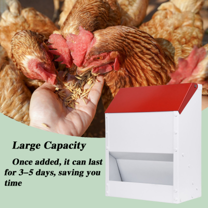 Automatic Metal Chicken Feeder Wall Mounted Galvanized Poultry Feeder with Cover Outdoor Wall Mounted Chicken Food Dispenser Gravity Feeding Chicken Feeder Weatherproof Waste-Free Quail Duck Feeder