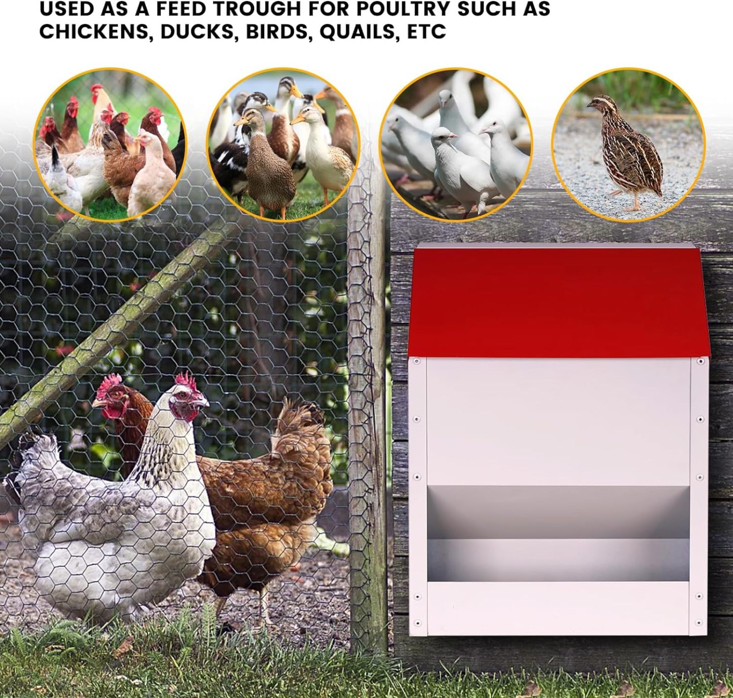 Automatic Metal Chicken Feeder Wall Mounted Galvanized Poultry Feeder with Cover Outdoor Wall Mounted Chicken Food Dispenser Gravity Feeding Chicken Feeder Weatherproof Waste-Free Quail Duck Feeder