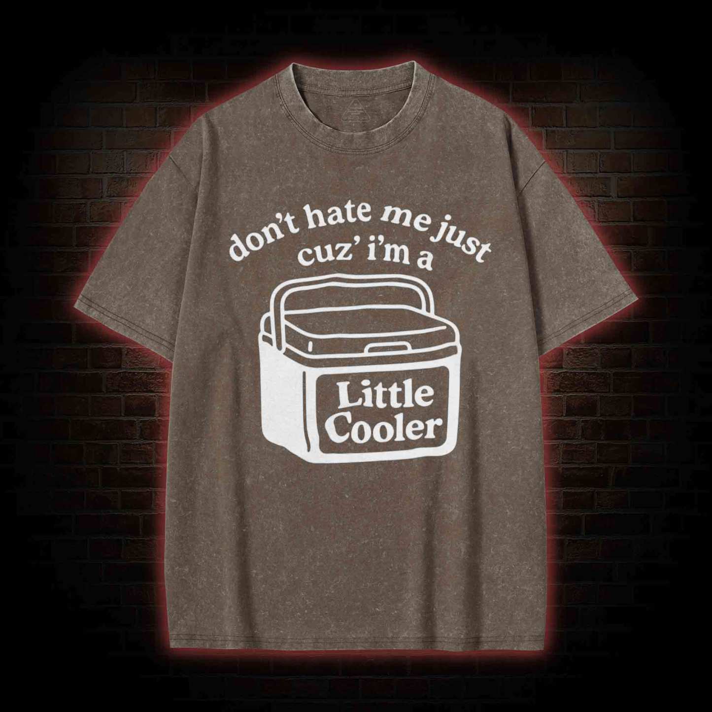 Don't Hate Me Cuz I'm a Little Cooler Washed T-shirt-LASPORTN