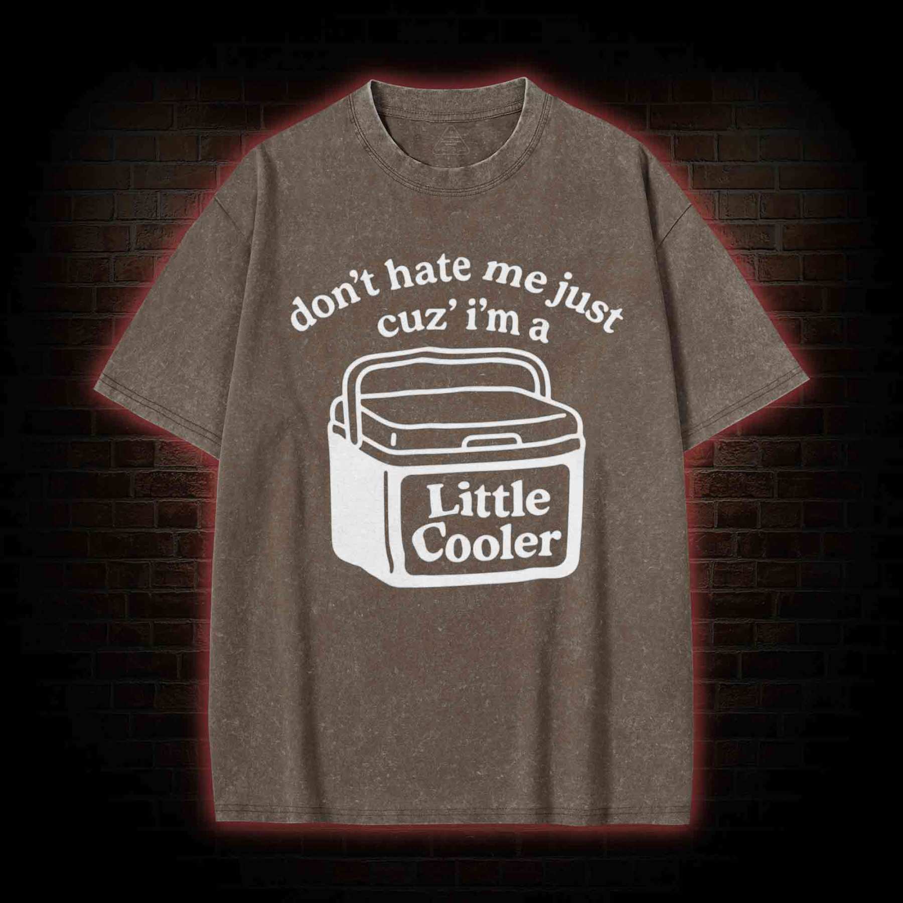 Don't Hate Me Cuz I'm a Little Cooler Washed T-shirt-LASPORTN