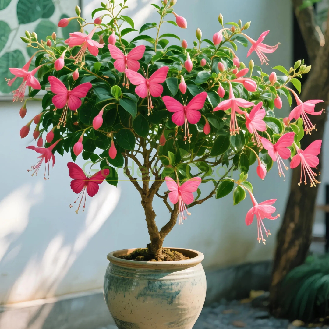 🦋✨ Golden Butterfly Vine Seeds – Create a Waterfall of Blooms! 🌿💛