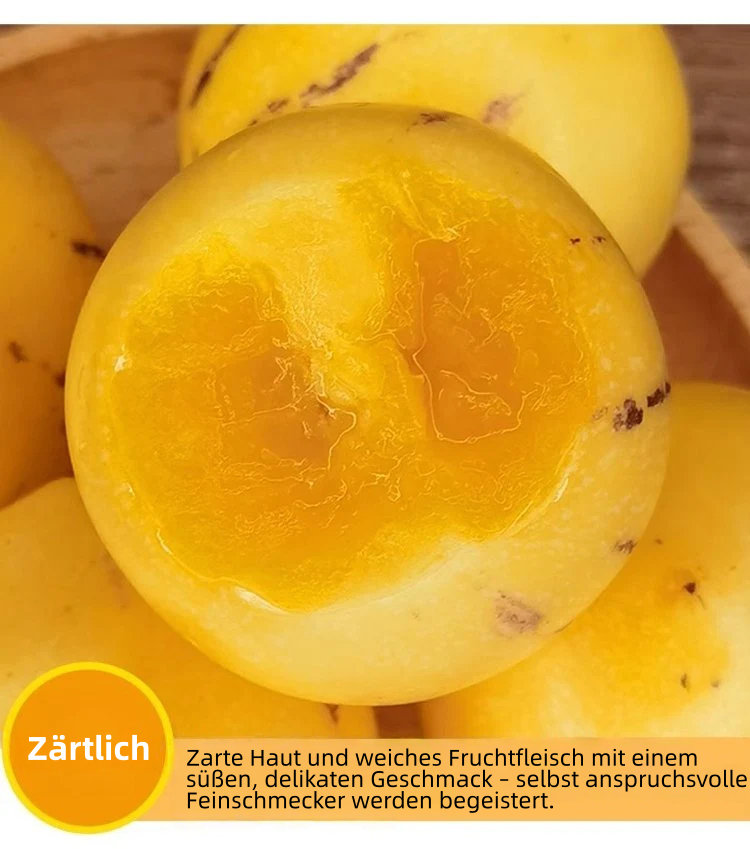 🎁30% Rabatt🍐🍐Pepinos-Samen (Melonen-Birnen)