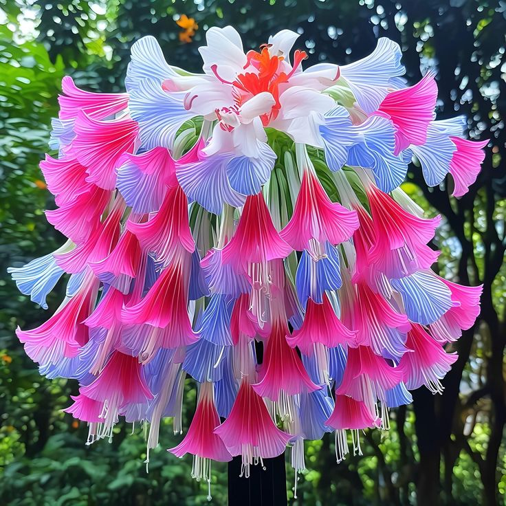 Red & Blue-Giant Hanging Lobelia Seeds🌊