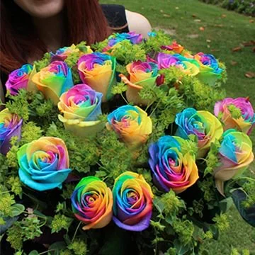✨ Rainbow Roses Seeds– Bloom All Year Round 🌈