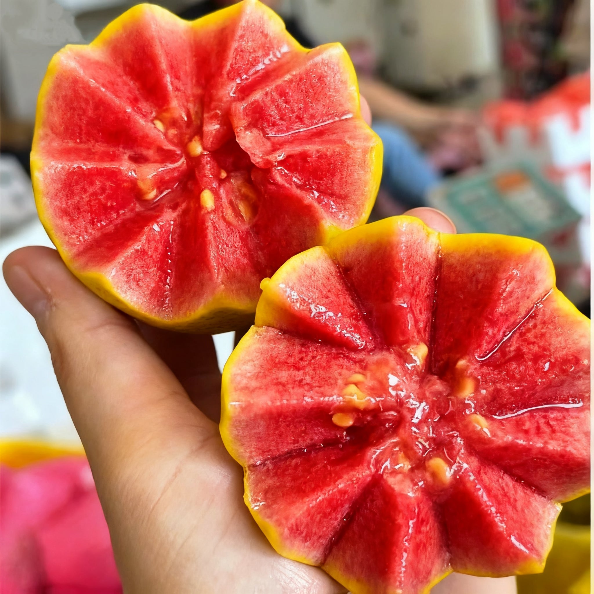 🍈 Semena z růžové guavy na výsadbu – Vhodná do květináčů, skleníků a otevřených zahrad 🍈