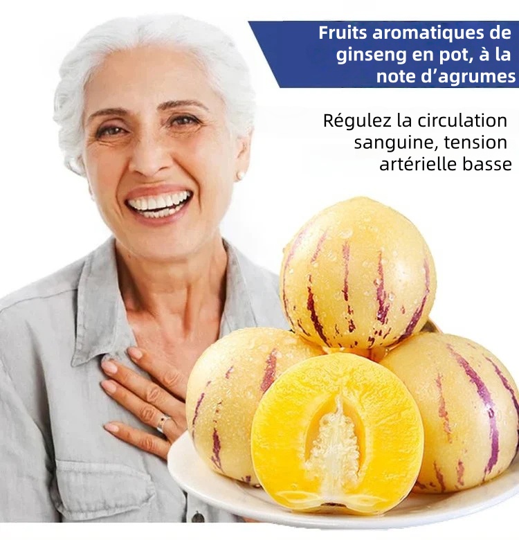 🎁30% de Réduction🍐🍐Graines De Pepinos (Melon Poire)
