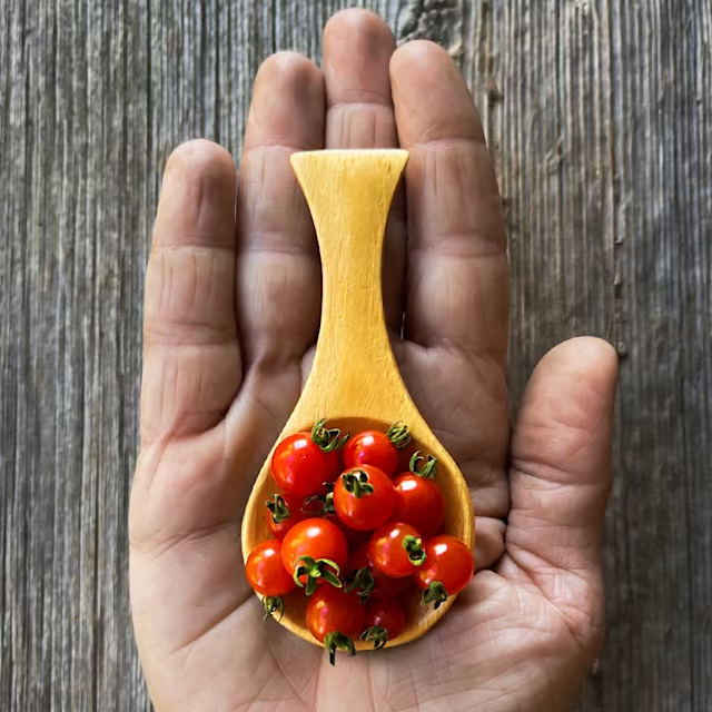 🌱 Bio Löffel-Tomaten Samen „Spoon“ | Deutschlandtauglich | 100% Keimrate