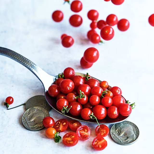 🌱 Bio Löffel-Tomaten Samen „Spoon“ | Deutschlandtauglich | 100% Keimrate