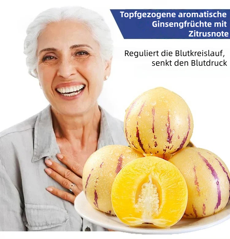 🎁30% Rabatt🍐🍐Pepinos-Samen (Melonen-Birnen)