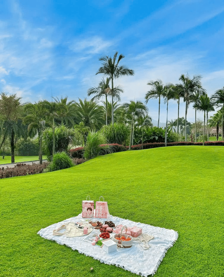 🌱🔥 Semences de gazon 2026 ultra-résistantes : froid, chaleur, piétinement – Gazon nain persistant 4 saisons 🌾💚