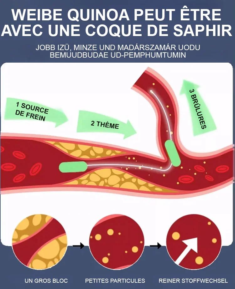 🍇 Raisin de la Reine Nina – La Perle des Vignes à Cultiver Chez Vous 