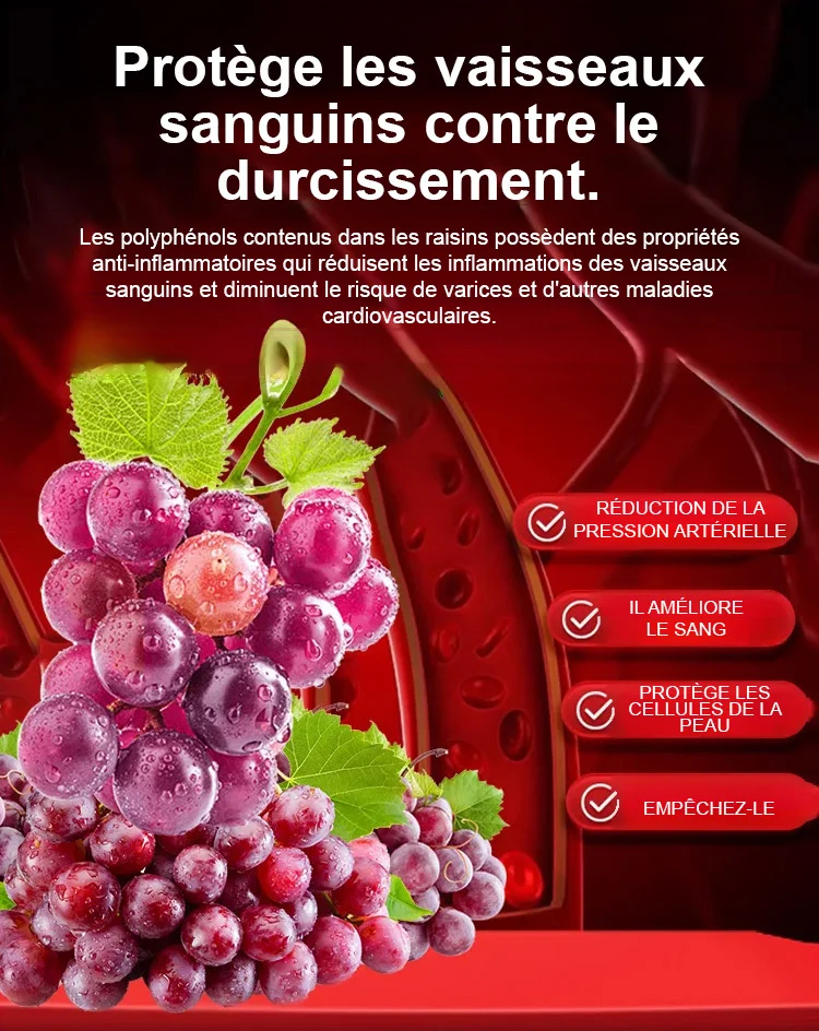 🍇 Raisin de la Reine Nina – La Perle des Vignes à Cultiver Chez Vous 