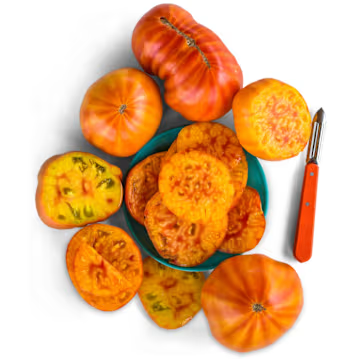 🍅 Gigante Farina – Cultivez la plus grosse tomate de votre vie !