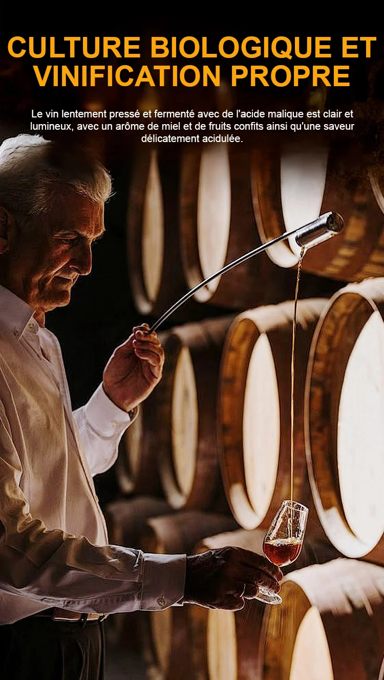 🍇 Raisin de la Reine Nina – La Perle des Vignes à Cultiver Chez Vous 