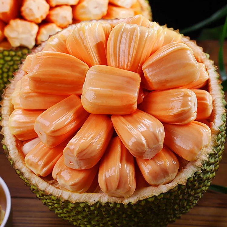 🏆Graines de Jacquier Géant