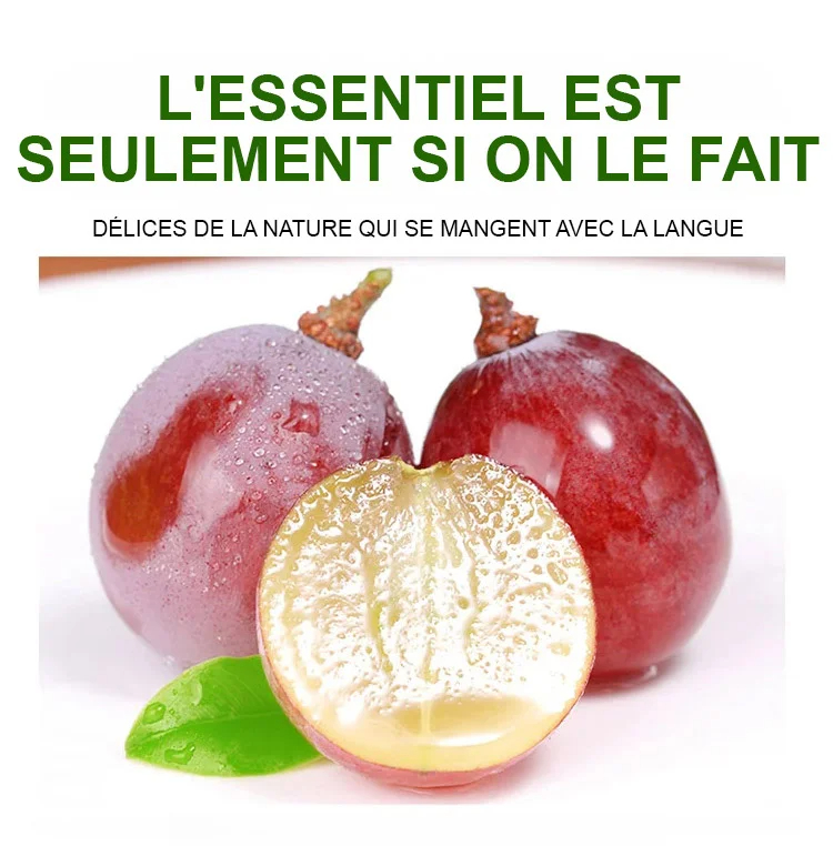 🍇 Raisin de la Reine Nina – La Perle des Vignes à Cultiver Chez Vous 